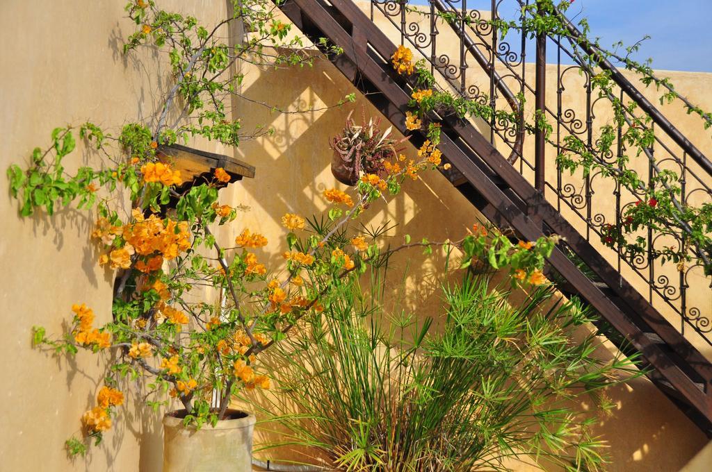 Riad Boujloud Fez Exterior photo